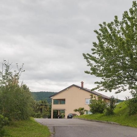Studio Elli Koper Zewnętrze zdjęcie